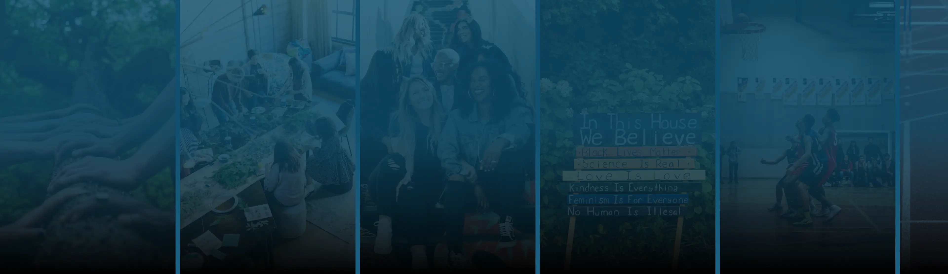 Register Organisation